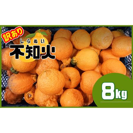 ふるさと納税 ≪訳あり≫ 不知火 熊本県産 8kg | フルーツ 果物 くだもの 柑橘 ミカン みか...