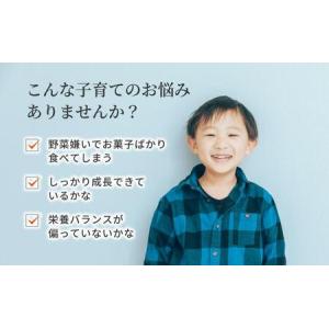ふるさと納税 mitete キッズサプリ 18...の詳細画像3