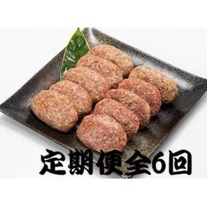 ふるさと納税 【2ヵ月毎定期便】特選和牛(焼肉薩摩の完熟平野幸一之牛)ハンバーグ10個全6回【配送不...