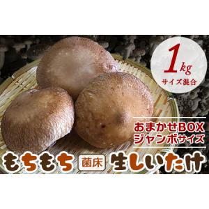 ふるさと納税 もちもち菌床生しいたけ　おまかせジャンボBOX　１kg 千葉県富津市｜furunavi