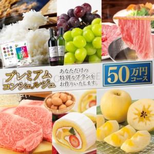 ふるさと納税 コンシェルジュ コース 紫波町 50万円 提案型 （DS001） 岩手県紫波町