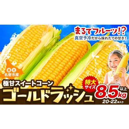 ふるさと納税 【特大】 とうもろこし 極甘 スイートコーン 「 ゴールドラッシュ 」 8.5kg 以...