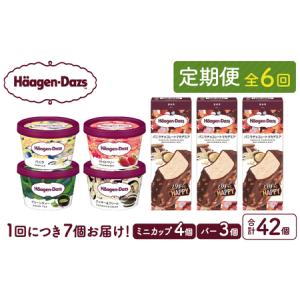 ふるさと納税 <全6回定期便・連続>ハーゲンダッ...の商品画像