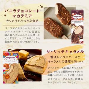 ふるさと納税 <全6回定期便・隔月>ハーゲンダ...の詳細画像2