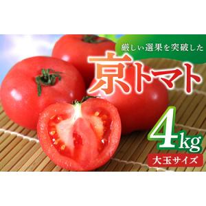 ふるさと納税 京丹後産・京トマト 4kg（12〜24玉） 春夏発送 京都府京丹後市｜furunavi