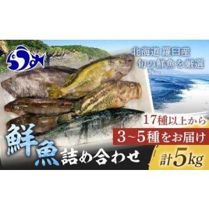 ふるさと納税 知床羅臼産 鮮魚詰め合わせA　約5kg 魚 さかな 旬の魚 鮮魚 羅臼町 北海道 生産者 支援 応援 北海道羅臼町｜furunavi