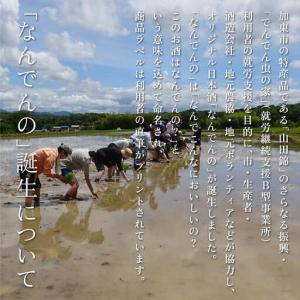 ふるさと納税 獺祭 ふじた 磨き二割三分 ・ ...の詳細画像4