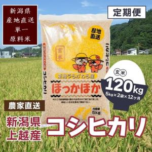 ふるさと納税 【毎月定期便・全12回】極上の雪国...の商品画像