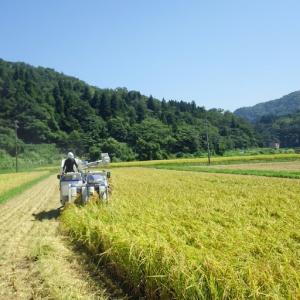 ふるさと納税 【毎月定期便・全12回】極上の雪...の詳細画像1