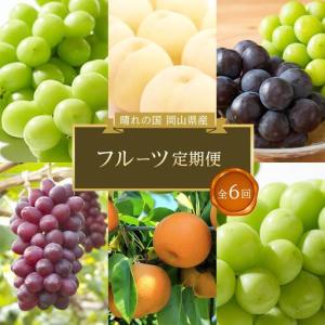 ふるさと納税 フルーツ 2027年【全6回コース】晴れの国岡山 フルーツ定期便 岡山県岡山市
