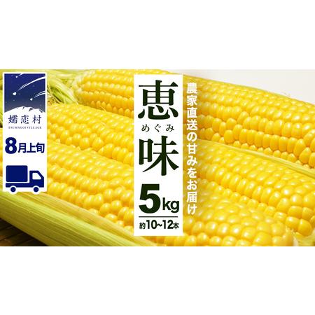 ふるさと納税 【8月上旬発送開始】 甘〜いトウモロコシ 恵味 5kg 約10〜12本 [AL005t...