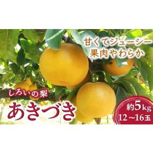 ふるさと納税 【2026年秋収穫分】あきづき 5kg 12〜16玉 しろいの梨 予約受付 果汁たっぷり 甘い 美味しい ジューシー 千葉県 白井市 千葉県白井市