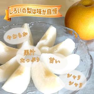 ふるさと納税 【2026年秋収穫分】あきづき ...の詳細画像2