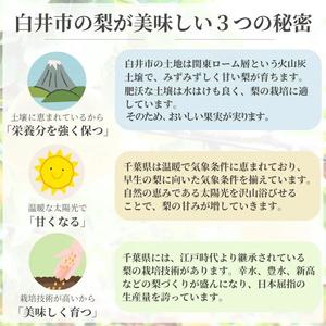 ふるさと納税 【2026年秋収穫分】あきづき ...の詳細画像3