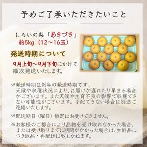 ふるさと納税 【2026年秋収穫分】あきづき ...の詳細画像4