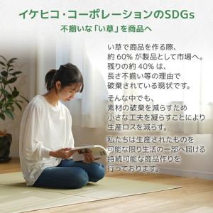 ふるさと納税 PPカーペットウィードNV江戸間...の詳細画像4