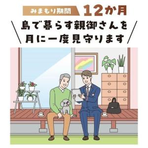 ふるさと納税 みまもり 訪問サービス 12か月...の詳細画像2