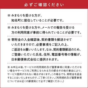 ふるさと納税 みまもり 訪問サービス 12か月...の詳細画像4