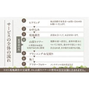 ふるさと納税 飛騨の山採り樹木で庭造り 庭施工...の詳細画像4