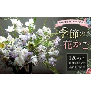 ふるさと納税 【指定日必須】季節の花かご（120サイズ） 福岡県直方市