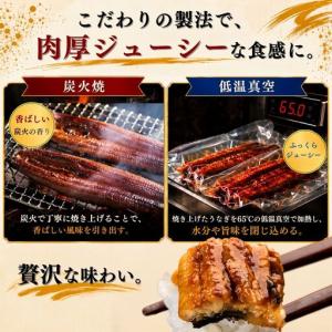 ふるさと納税 うなぎ蒲焼 特大 無頭 5尾 計...の詳細画像2