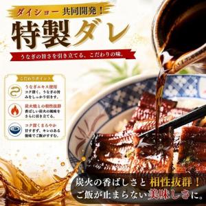 ふるさと納税 うなぎ蒲焼 特大 無頭 5尾 計...の詳細画像3