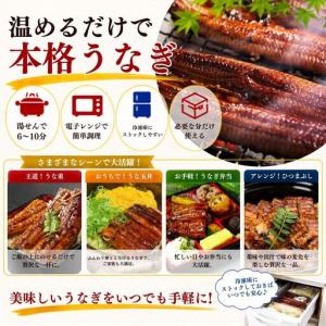ふるさと納税 うなぎ蒲焼 特大 無頭 5尾 計...の詳細画像4