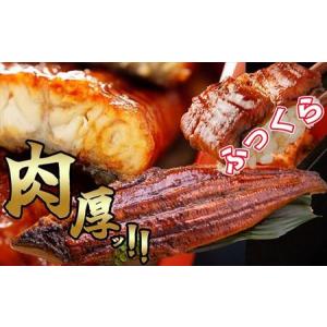 ふるさと納税 うなぎ蒲焼 特大 無頭 2尾 計...の詳細画像1