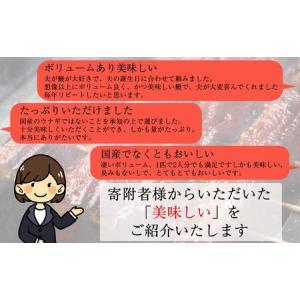 ふるさと納税 うなぎ蒲焼 特大 無頭 2尾 計...の詳細画像4