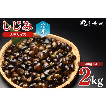 ふるさと納税 IX-13　しじみ　冷凍　特選　大玉　2kg（500ｇ×4）砂抜き済み　涸沼川　う女川...