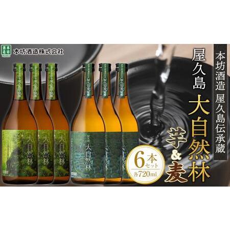 ふるさと納税 屋久島 大自然林 芋・麦 720ml 各3本 計6本＜本坊酒造 屋久島伝承蔵＞ 鹿児島...