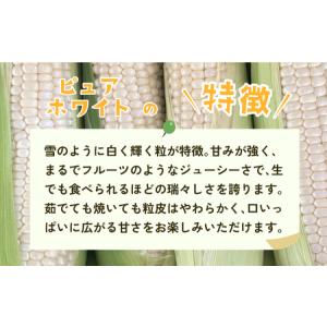 ふるさと納税 とうもろこし 訳あり ピュアホワ...の詳細画像1