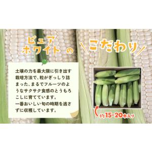 ふるさと納税 とうもろこし 訳あり ピュアホワ...の詳細画像2