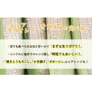 ふるさと納税 とうもろこし 訳あり ピュアホワ...の詳細画像3