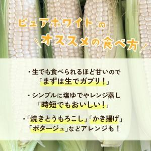 ふるさと納税 とうもろこし 訳あり ピュアホワ...の詳細画像3