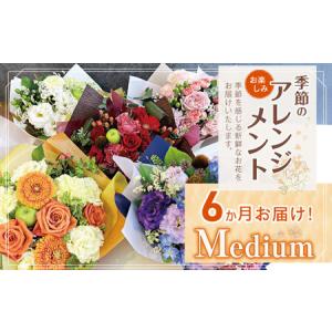ふるさと納税 6か月 お届け お楽しみ！ 季節 の アレンジメント 「Medium」 | 花 アレンジ タイプ 高さ約26cm 横幅約23cm 東京都調布市