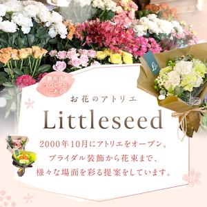 ふるさと納税 6か月 お届け お楽しみ! 季節...の詳細画像1