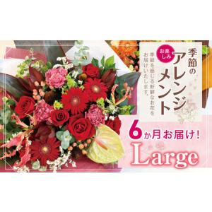 ふるさと納税 お楽しみ！6か月 お届け 季節のアレンジメント「Large」 | 花 アレンジ タイプ 高さ約42cm 横幅約40cm 東京都調布市