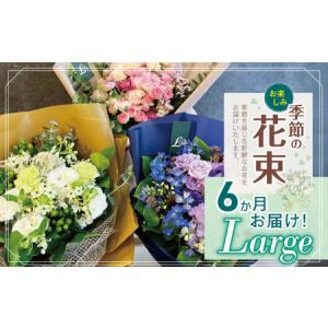 ふるさと納税 6か月 お届け お楽しみ！ 季節 の 花束 「Large」 | 花 ブーケ タイプ 高さ約50cm 横幅約30cm 東京都調布市