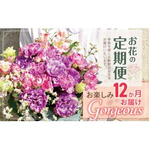 ふるさと納税 お楽しみ！ 12か月 お届け お花 の 定期便 「Gorgeous」 | 花 ブーケ タイプ 高さ45cm-50cm 本数15-20本 東京都調布市