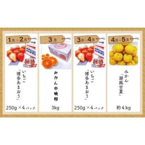 ふるさと納税 福岡県旬のフルーツ定期便【年10...の詳細画像2