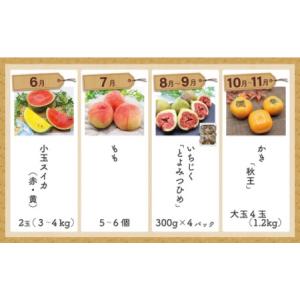 ふるさと納税 福岡県旬のフルーツ定期便【年10...の詳細画像3