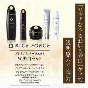 ふるさと納税 000049.プレミアムパーフェ...の詳細画像1