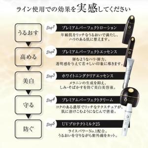 ふるさと納税 000049.プレミアムパーフェ...の詳細画像2
