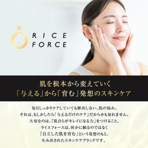 ふるさと納税 000049.プレミアムパーフェ...の詳細画像3