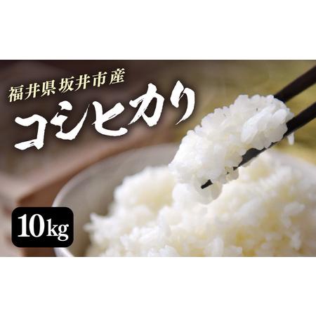 ふるさと納税 【訳あり】数量限定！福井県 坂井市産米 コシヒカリ 10kg (白米) 【お米 米 こ...