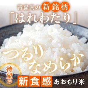 ふるさと納税 無洗米 米 10kg はれわたり...の詳細画像1