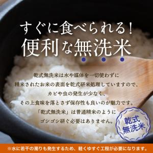 ふるさと納税 無洗米 米 10kg はれわたり...の詳細画像2