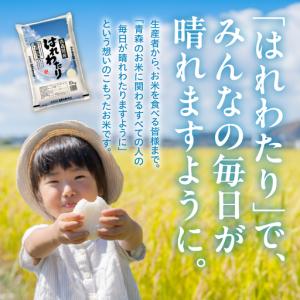 ふるさと納税 無洗米 米 10kg はれわたり...の詳細画像3