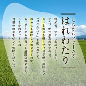ふるさと納税 無洗米 米 10kg はれわたり...の詳細画像4